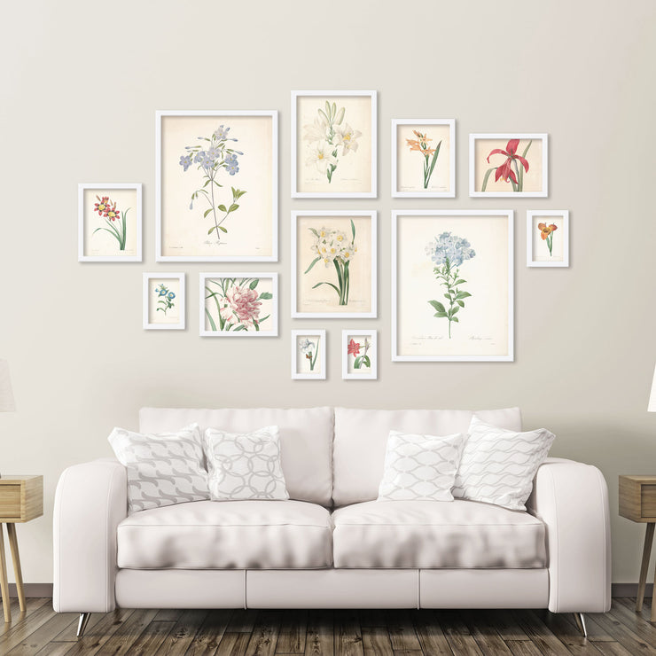 12pc Gallery Wall Set - Q20 Matrix