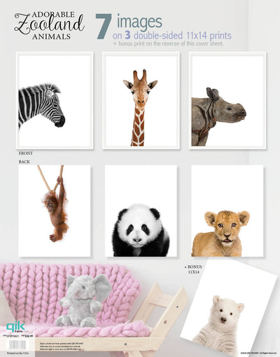 Adorable Zooland Animals - 3pc Double-Sided Art Print Set