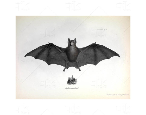 Halloween Vintage Style - 5pc Double-Sided Art Print Set