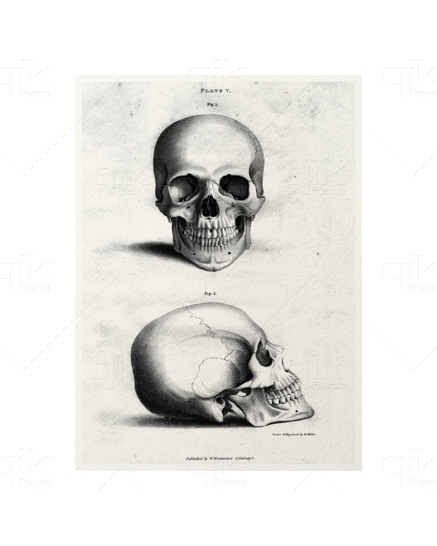 Halloween Vintage Style - 5pc Double-Sided Art Print Set