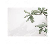 Salt & Sea Images from Crete - 5pc Double-Sided Art Print Set