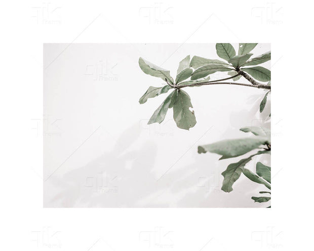 Salt & Sea Images from Crete - 5pc Double-Sided Art Print Set