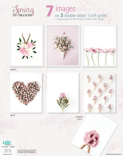Spring in Bloom - 3pc Double-Sided Art Print Set