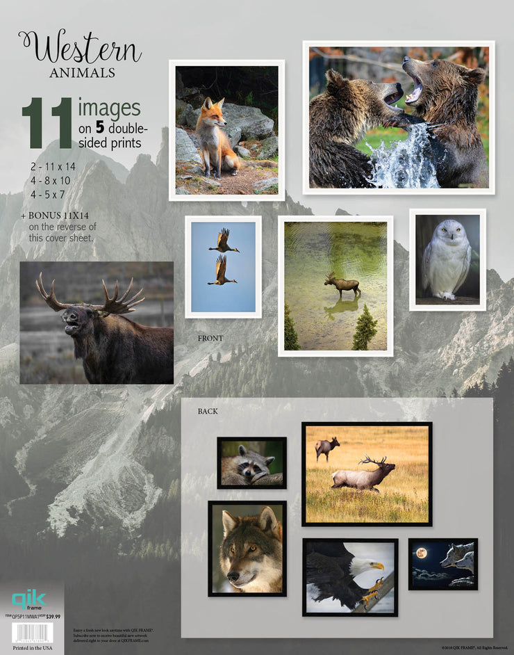 Western Animals - 5pc Double-Sided Art Print Set